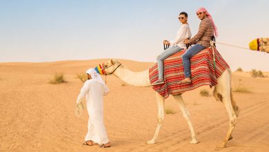 Photo of Camel Trekking Dubai