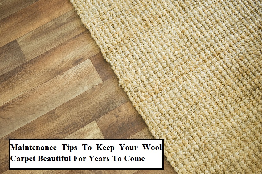 Maintenance Tips To Keep Your Wool Carpet Beautiful For Years To Come