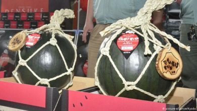 Photo of How To Enjoy A Dense Black Watermelon