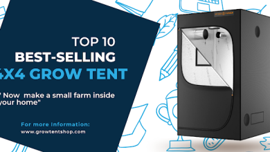Photo of 4×4 Grow Tent: A new evolution in grow tent industry