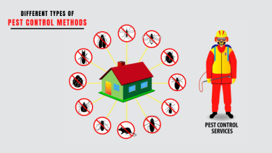 Photo of Different Types of Pest Control Methods