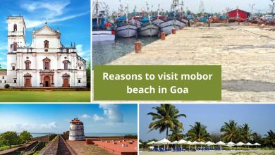 Photo of Reasons to visit mobor beach in Goa