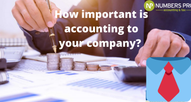 Photo of How important is Accounting Bookkeeping Service to your company?