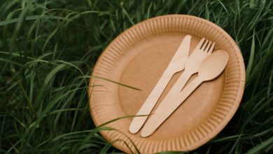 Photo of Environmentally Friendly Tableware and Cutlery with Strong Moral Values