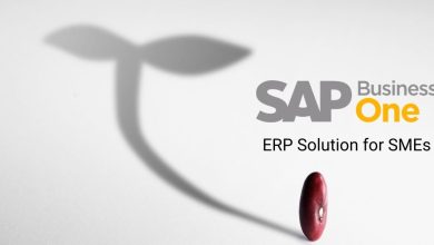 Photo of Integrate All Business Processes with SAP ERP Software