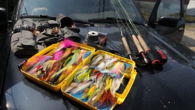 Photo of What Fly Fishing Gear Do I Need?