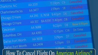 Photo of How to Cancel American Airlines Flight