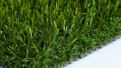 Photo of What To Select For Perfect Artificial Turf For Dogs?