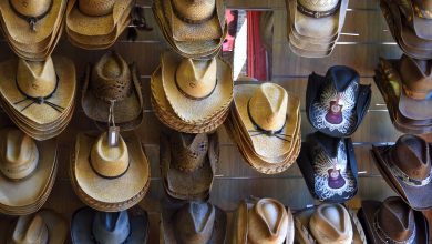 Photo of Trilby vs. Fedora Hats: Everything You Need to Know