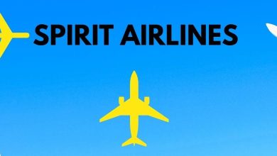 Photo of Spirit Airlines Review – Everything You Need To Know