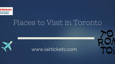 Photo of Discover the best destinations in Toronto