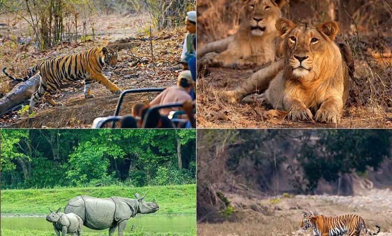 National Parks and Wildlife Sanctuaries in India