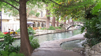 Photo of What Are the Best Areas to Live in San Antonio?
